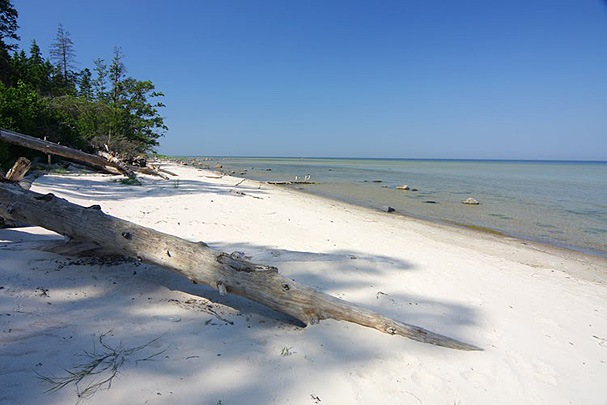 Limo pludmale Roņu salā Limo pludmale Roņu salā