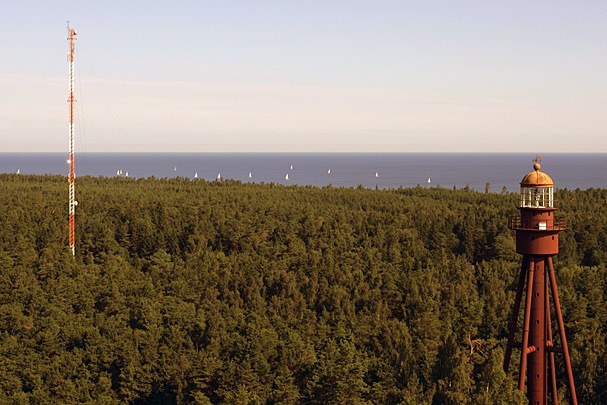 Roņu salas bāka Roņu salas bāka